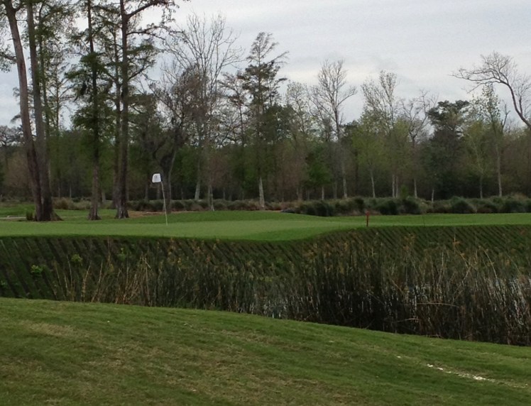 Hole 17 at TPC Louisiana in March 2012.