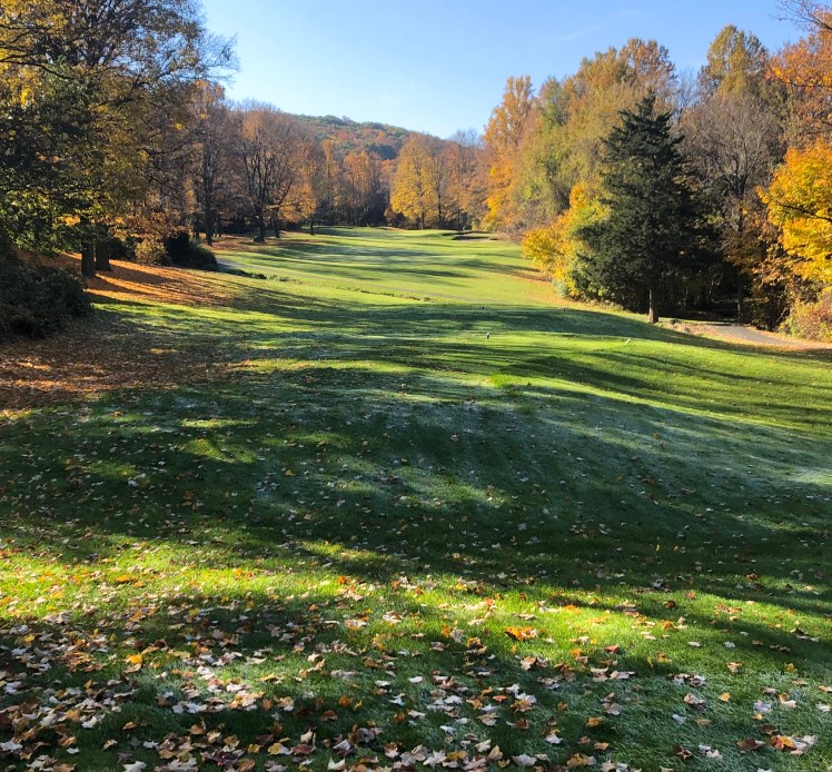 76E15315-F00C-4A81-81A0-6F33B40D9F4E