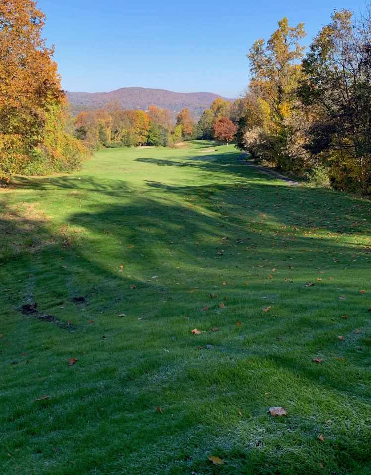 F1A54E91-E18B-4E5B-A078-C13D5464A223