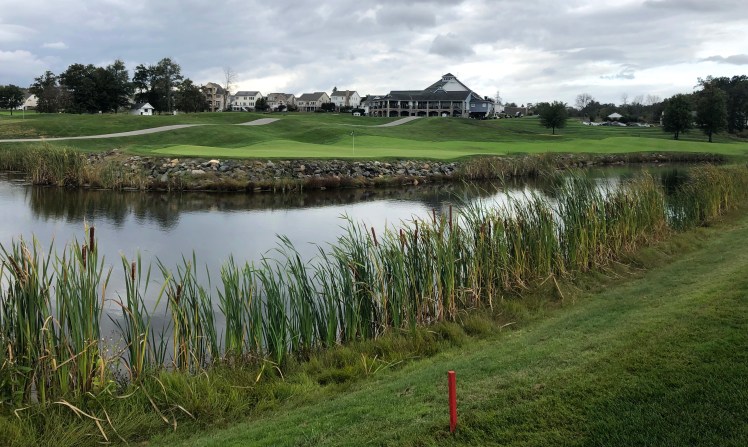 1B346386-64D3-4BB7-86F2-C97BC9BD3375