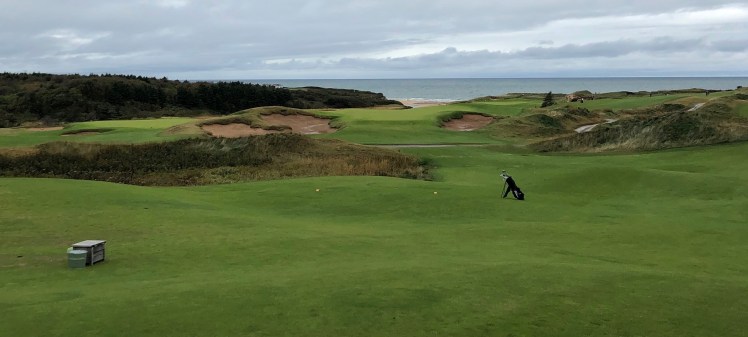 DB8F84AC-DF41-4551-AC85-EAC1B0137071_1_201_a