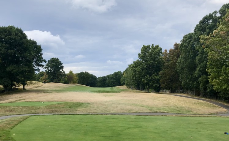 D430EA85-CB06-479C-A8BD-FC5CBDF5B396_1_201_a