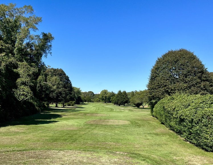 35D4CA82-4846-4726-96FB-7FEAEC960C02_1_201_a