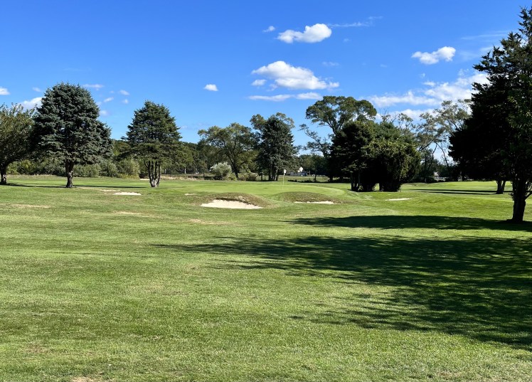 754B2E9B-4C9F-492B-A117-1D1B7C305B00_1_201_a