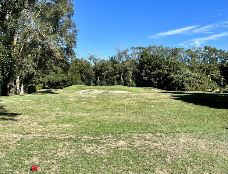 D7E69F19-248C-4D96-877C-96963E43883C_1_201_a