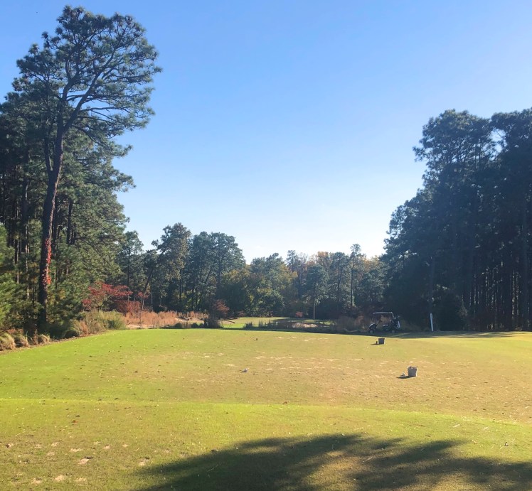 5FF597D1-B235-490F-ADFC-9D7A3AB810AD