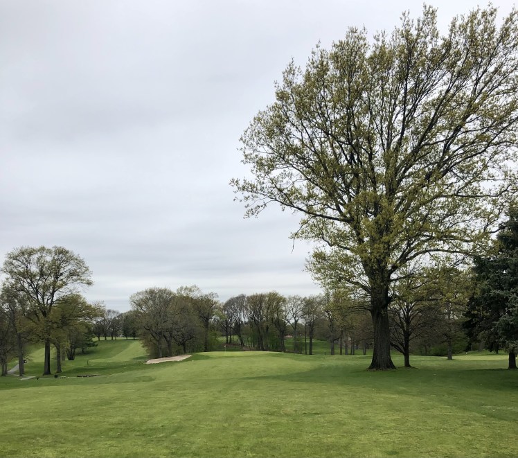 74B9BFA4-7272-4D8D-8ACA-3E07E682ED58_1_201_a