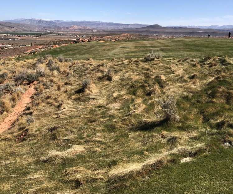 05E81F46-D3B7-4A5D-A062-71581E9E6A44_1_201_a