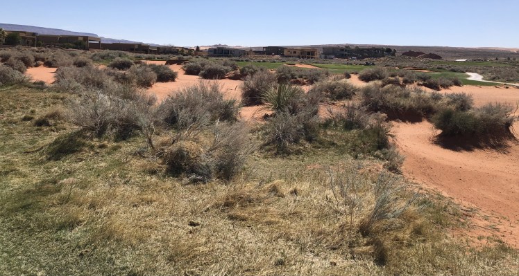 0F721D5D-51EE-41F8-8404-C1F7068EBB21_1_201_a