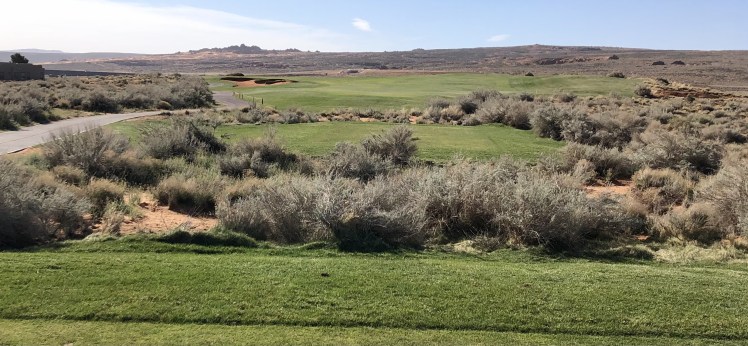 2D46084B-FC42-49E2-9A70-3A6ED0CE2951_1_201_a