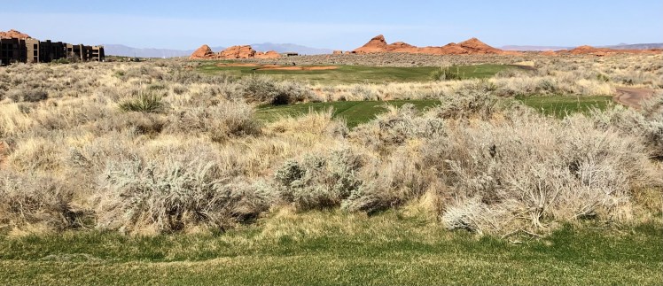 E4D9E9A9-FBD2-4046-A527-1C25CD9E2662_1_201_a