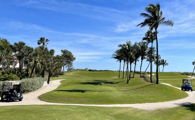 22E118D9-A6A5-4E54-8EA2-1829E5D44F4B_1_201_a