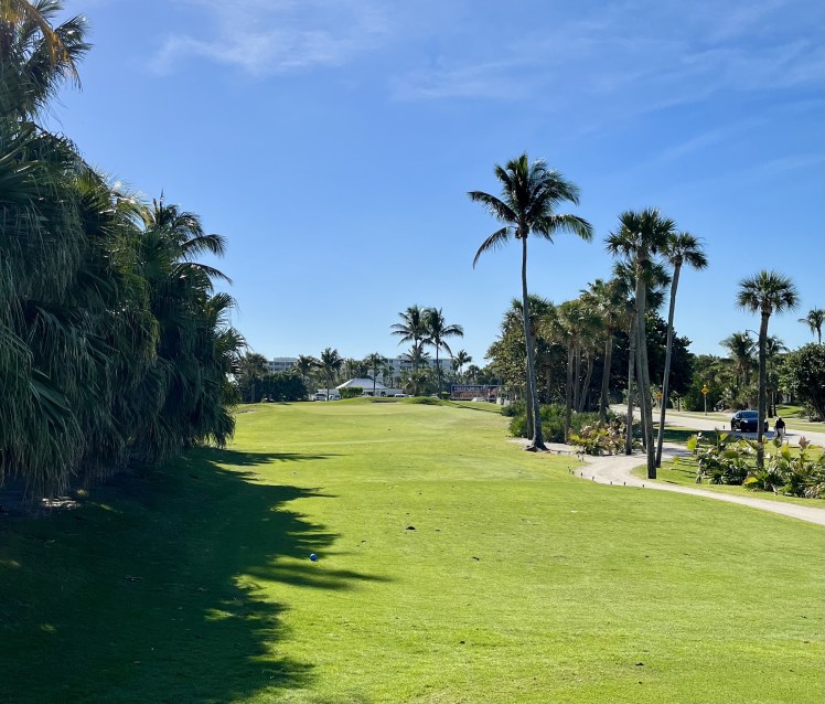 7750E508-CA45-4AE8-B92D-FE9CB05CFB33_1_201_a