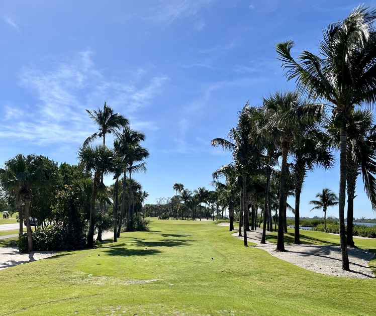 DECD4782-CEC5-477C-B08C-F1CF7F2E6F94_1_201_a